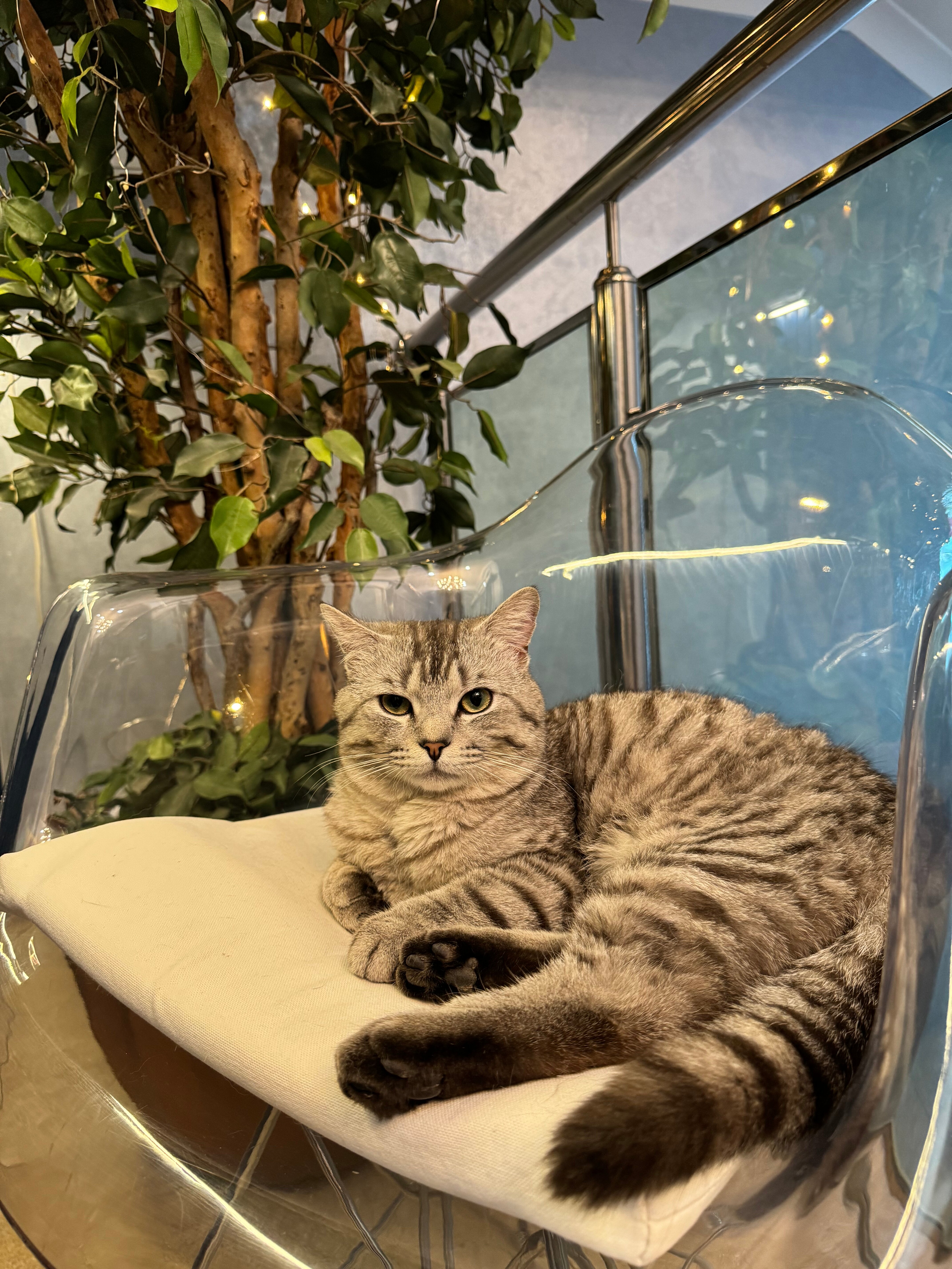 Фото ГемстОтель&Спа