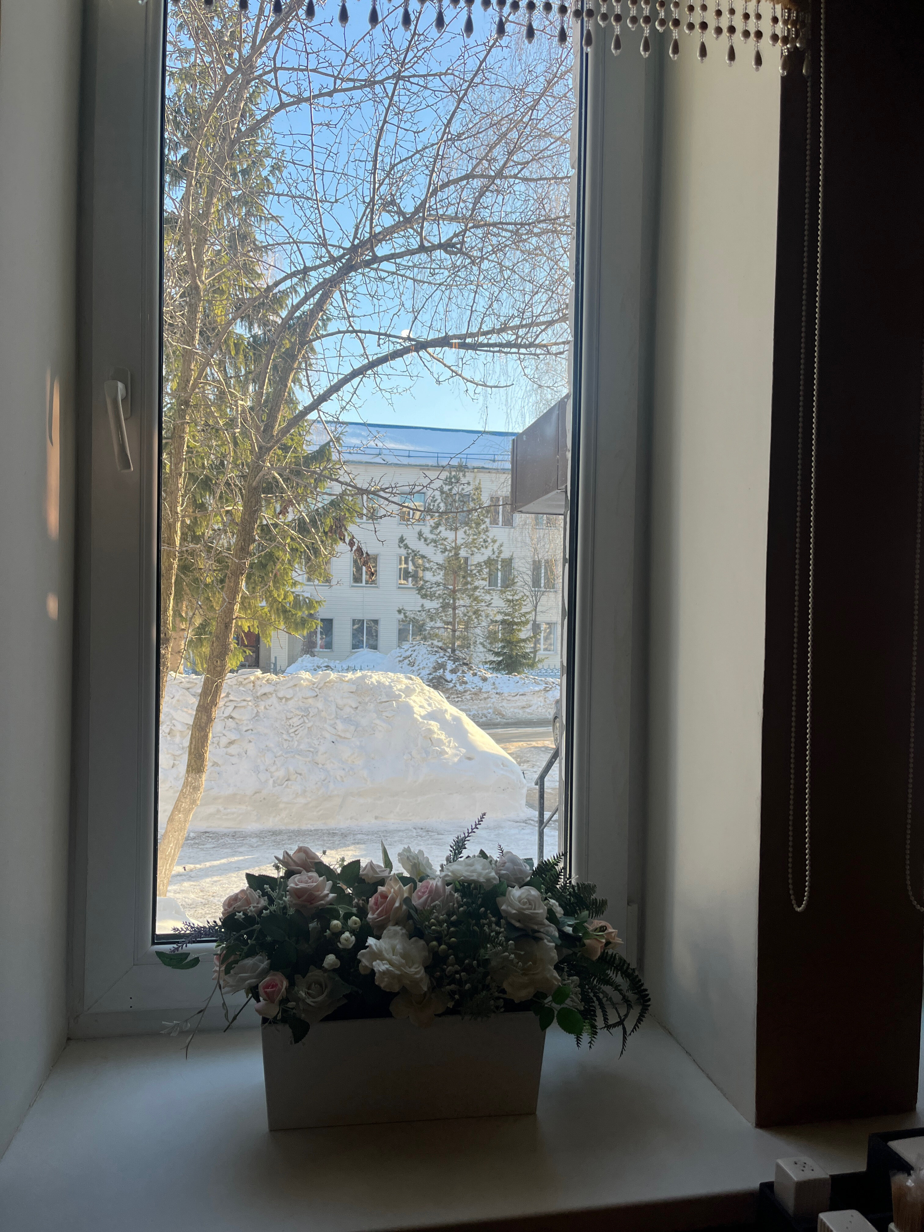 Фото Альянс