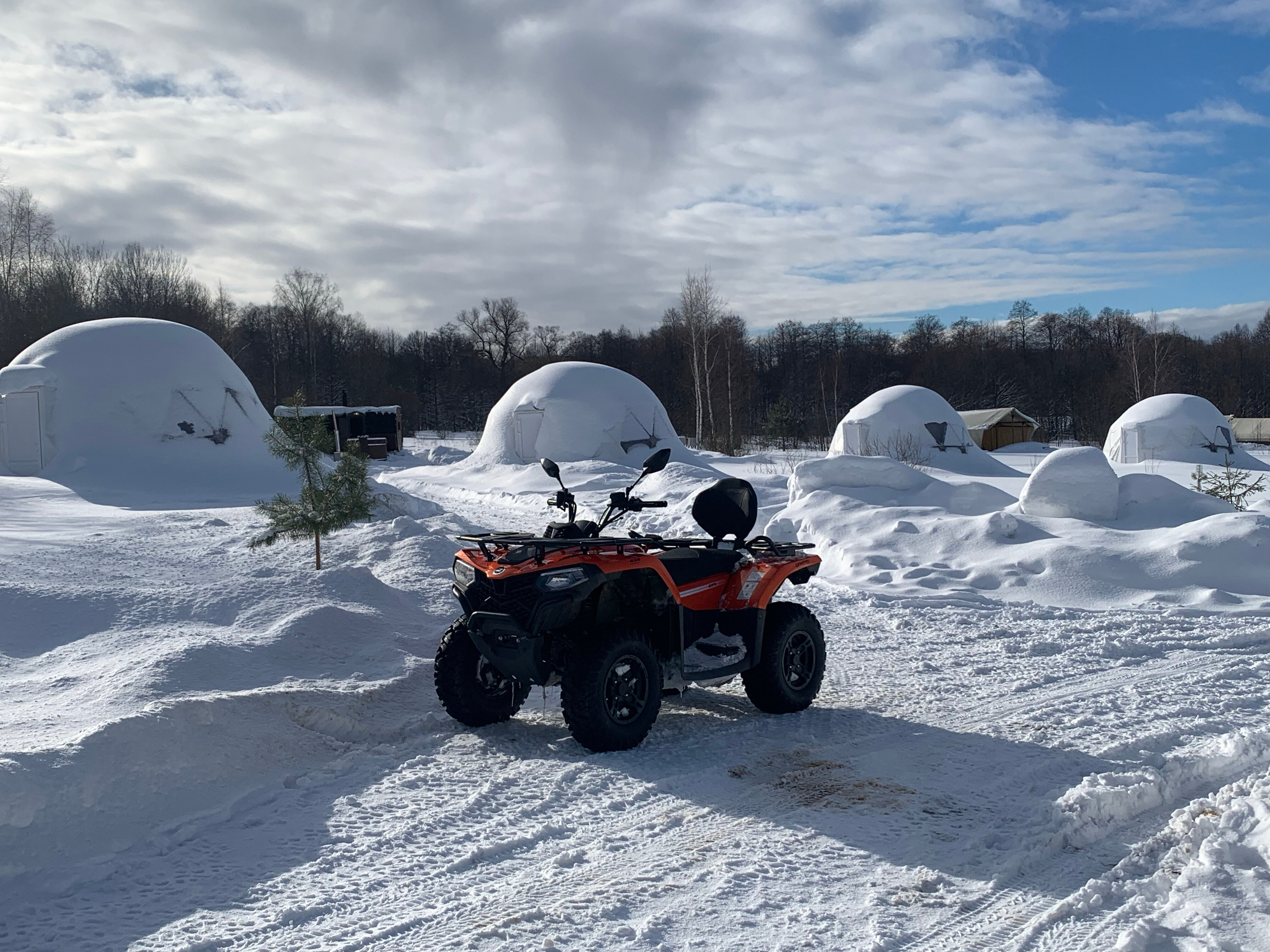 Фото Просто Cosmos