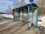 Поворот на Селинское (Moscow Region, 46K-9253), public transport stop