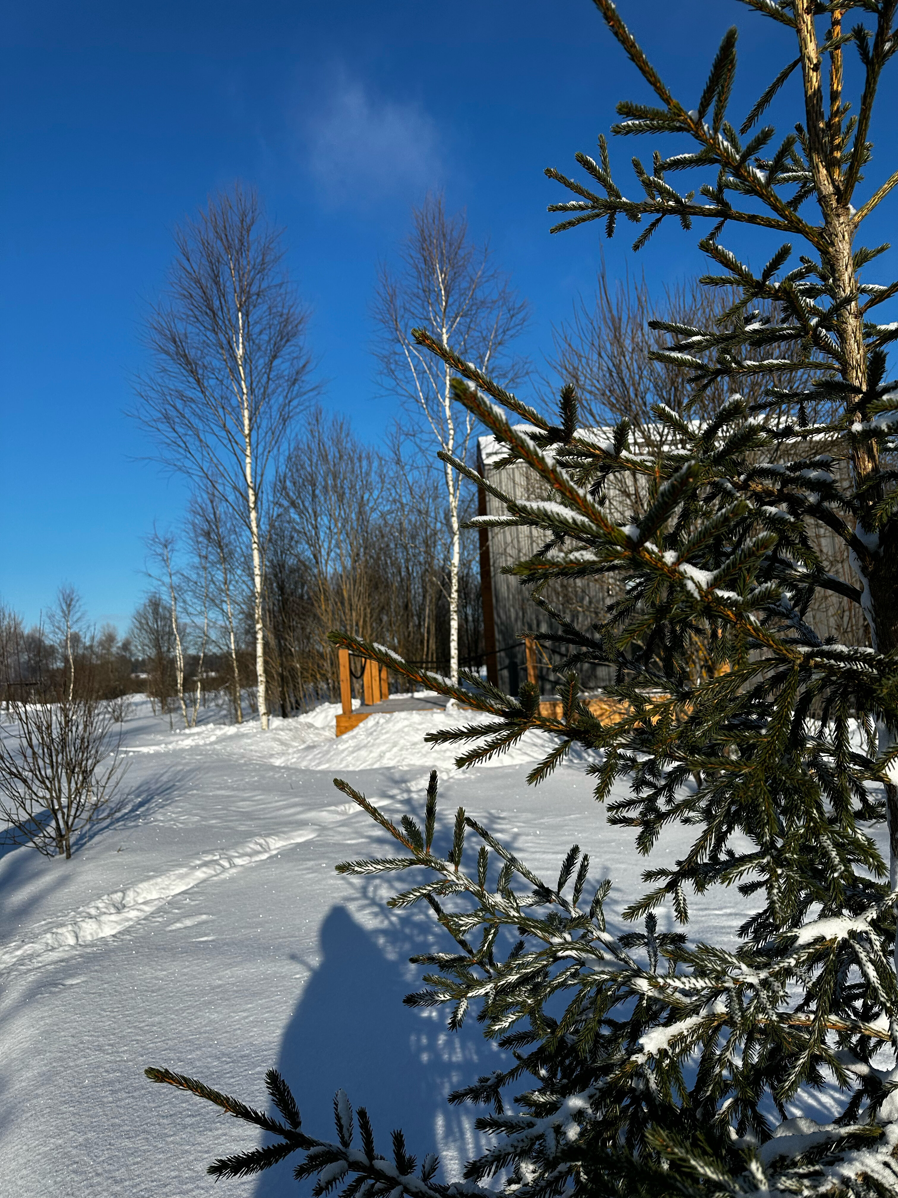 Фото Zefirka camp