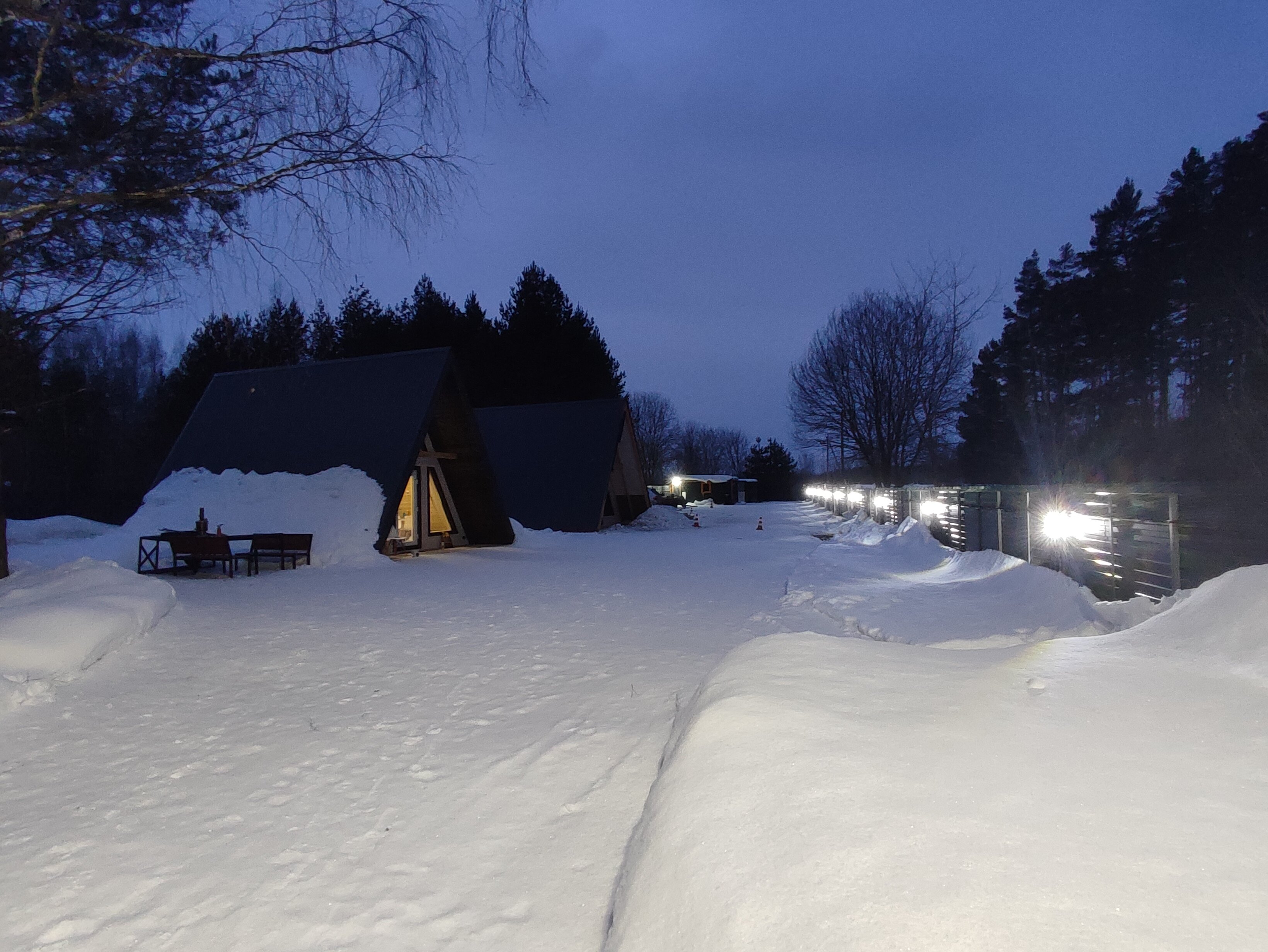 Фото Шепот Леса