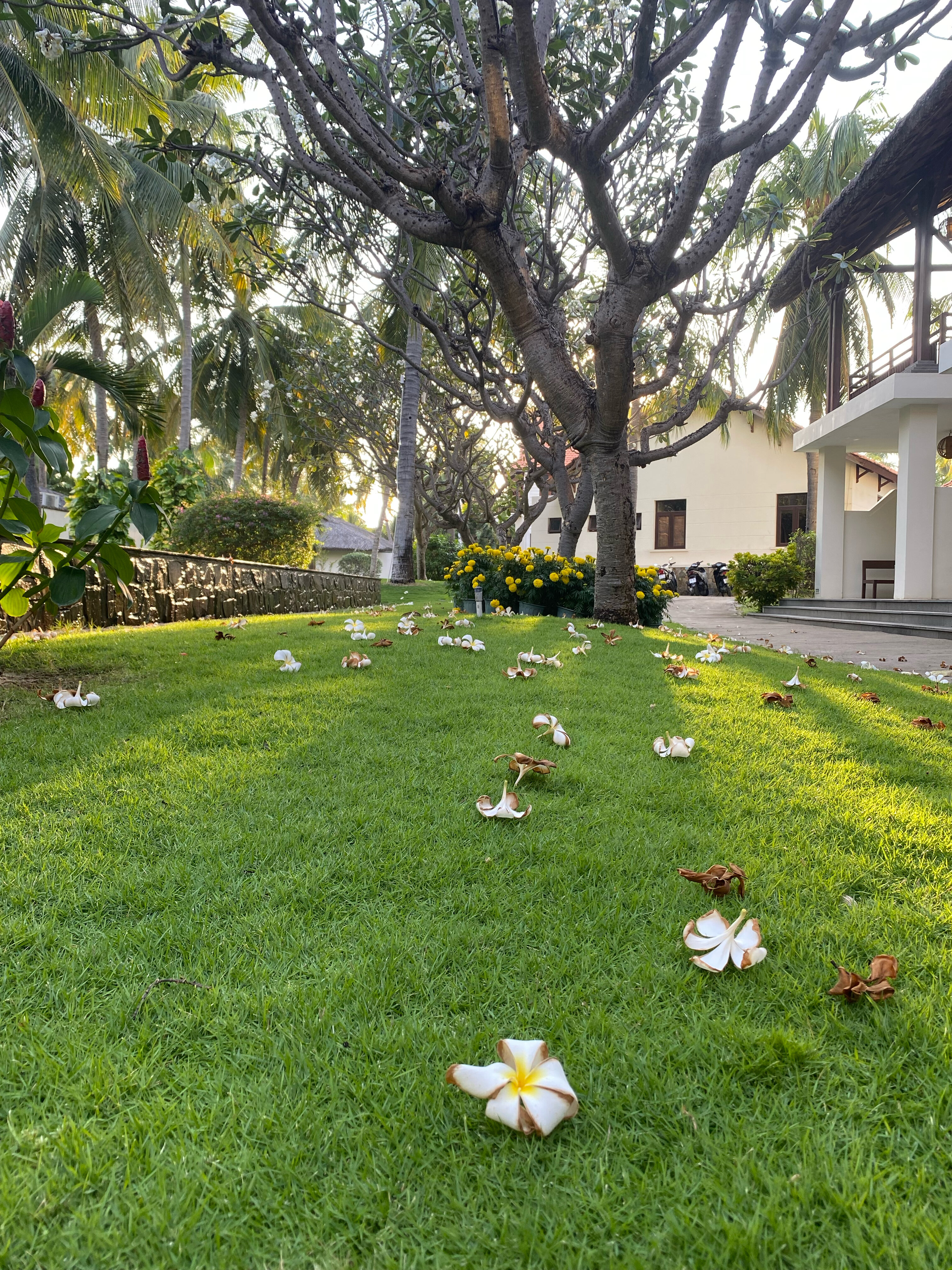 Фото Blue Ocean Resort