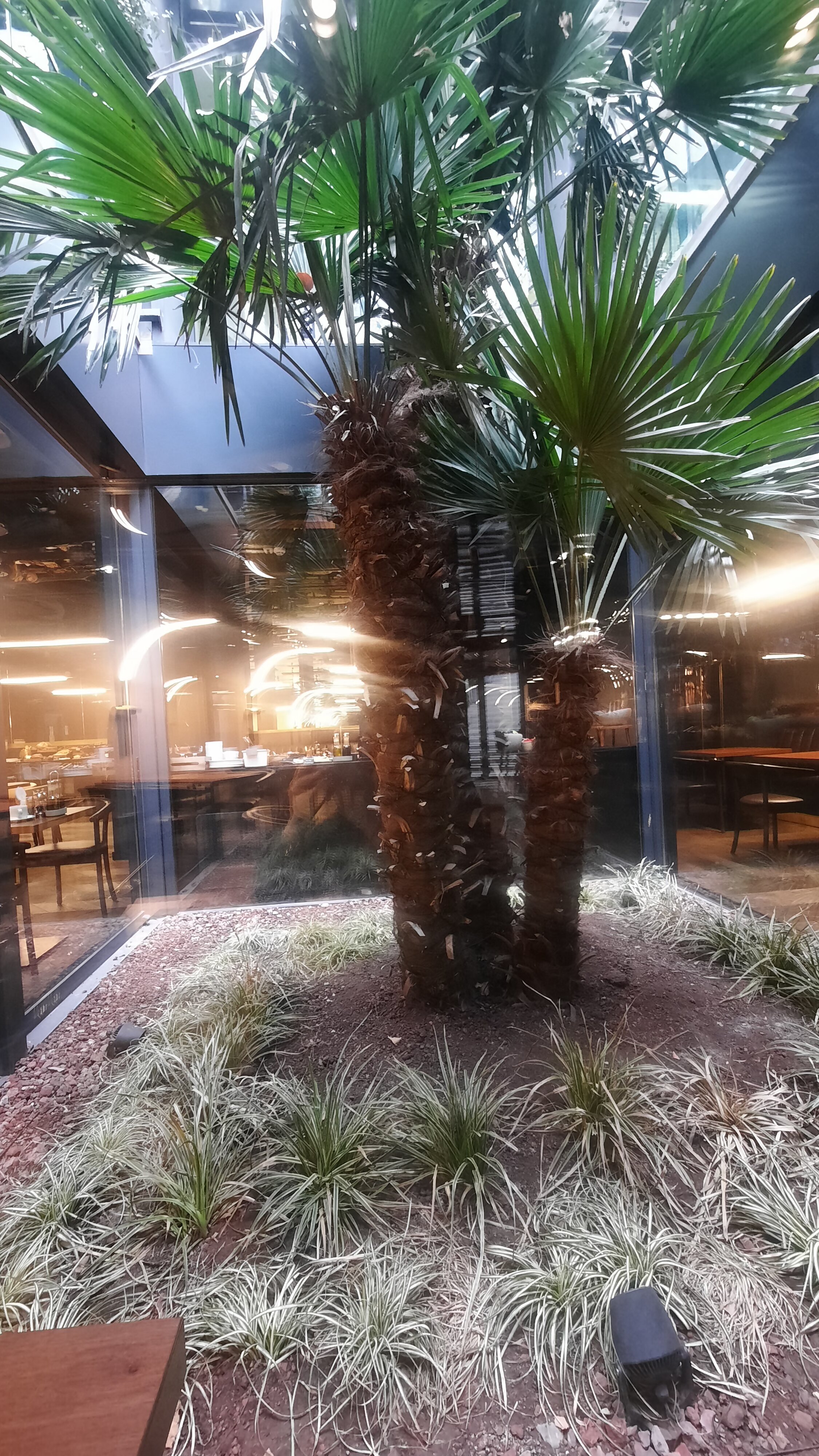 Фото Glarros OldTown