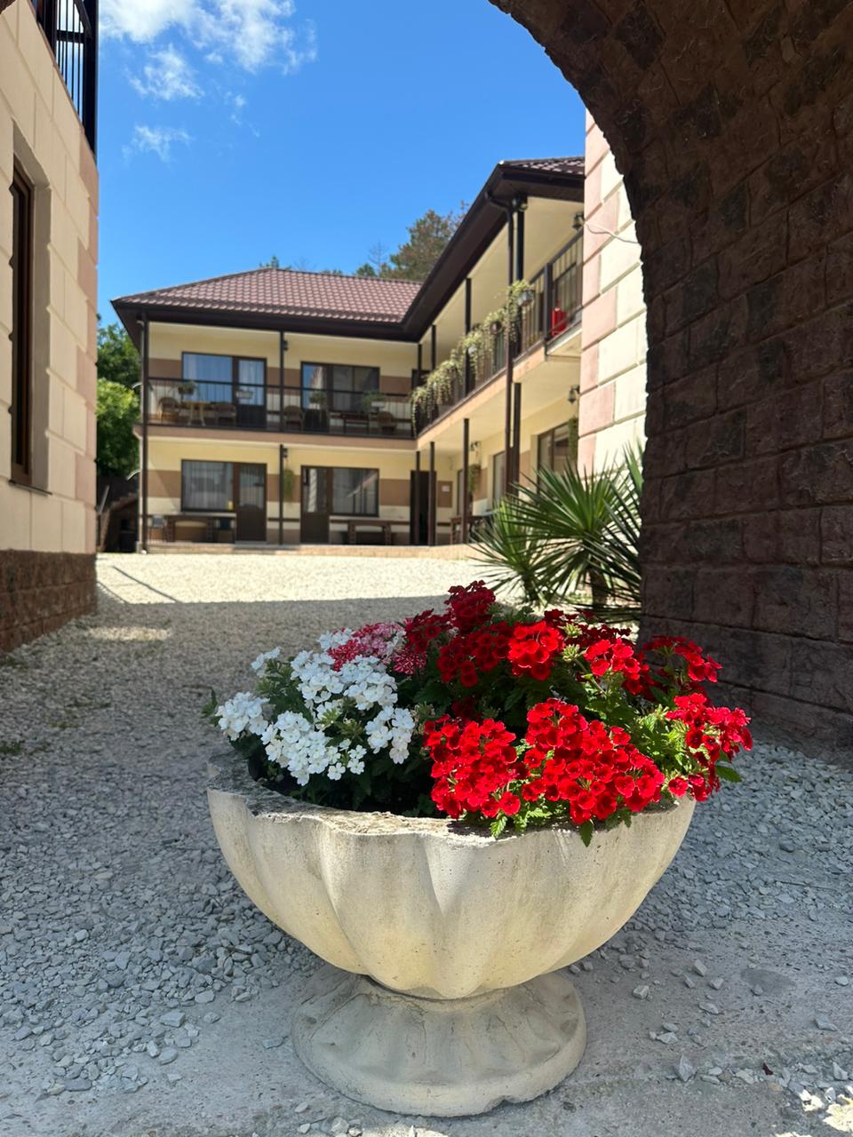 Фото Айвенго