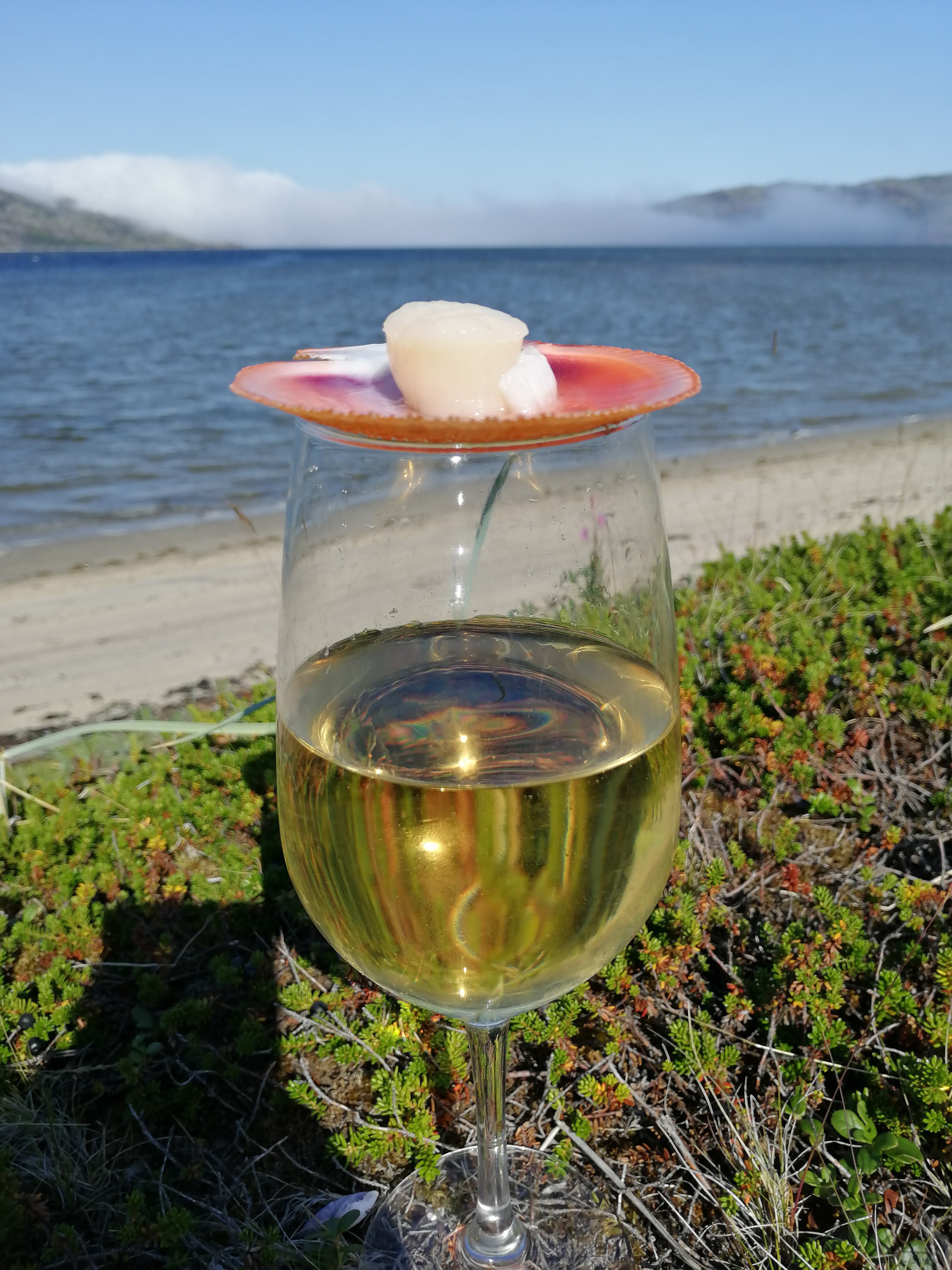 Фото Заполярный кордон