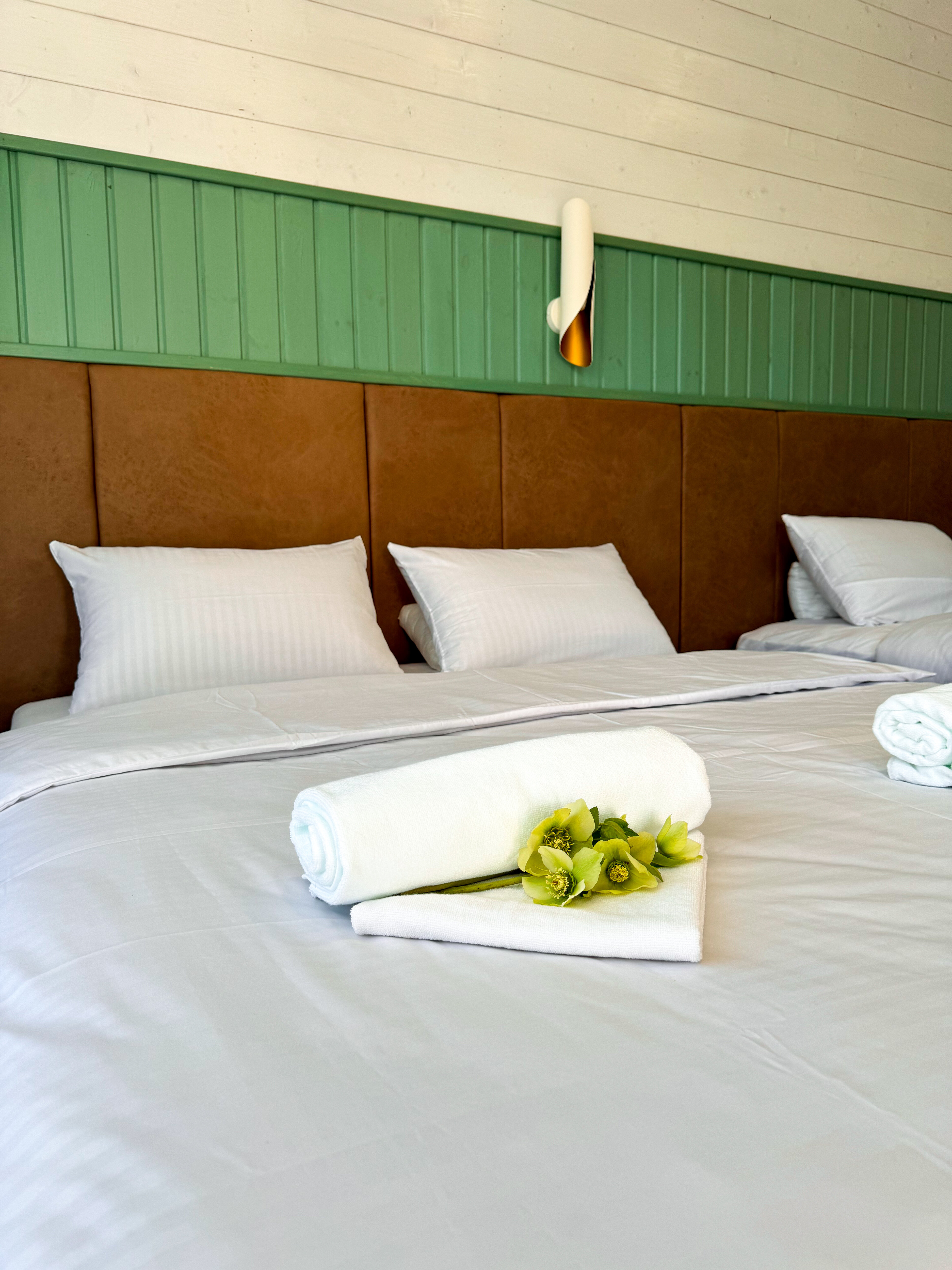 Фото Манреса