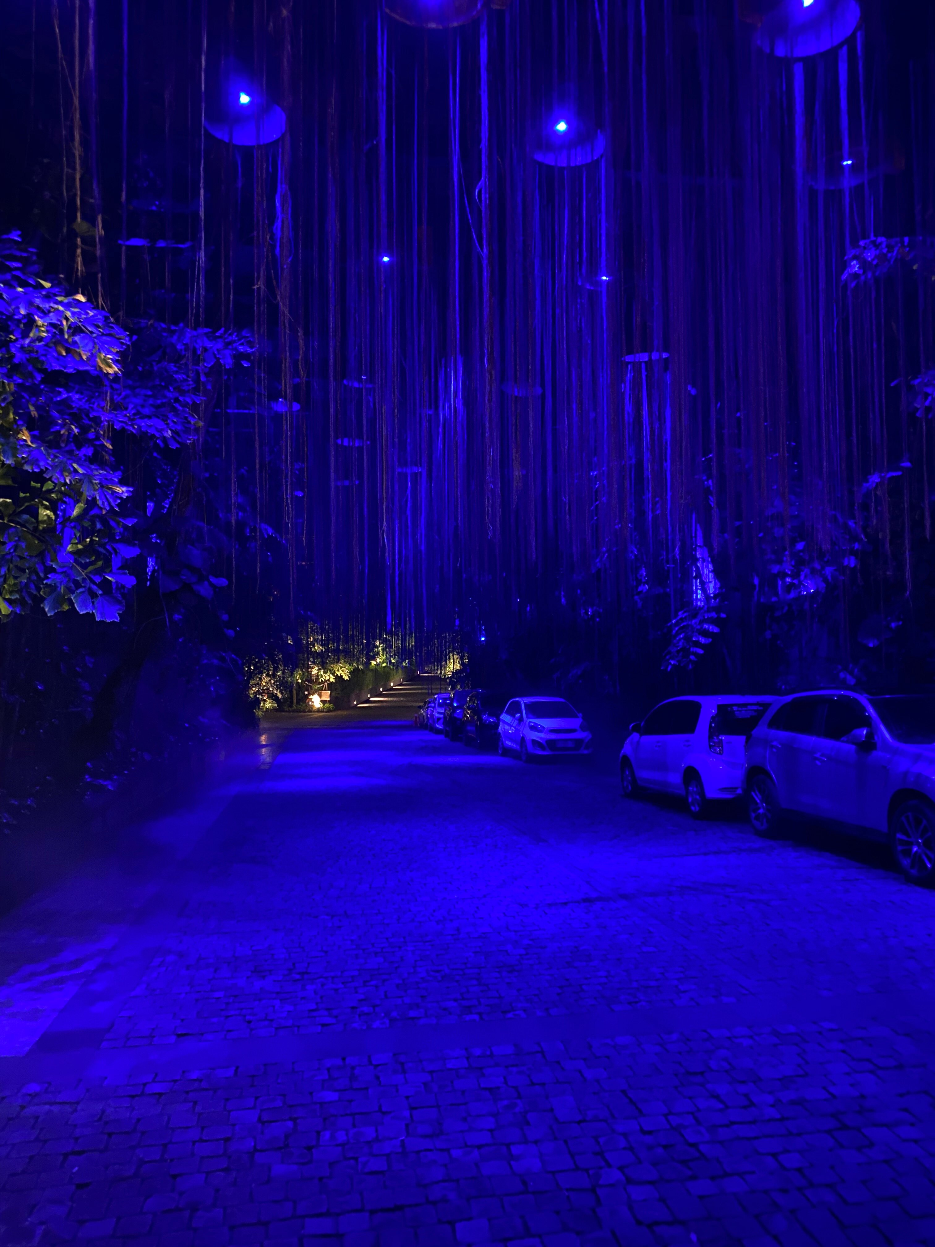 Фото The St. Regis Bali Resort