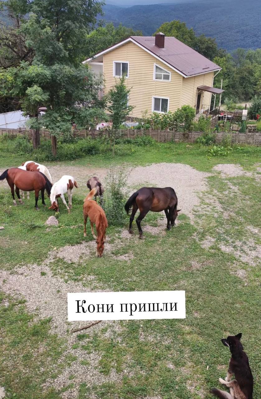 Фото Мезмай Мезон