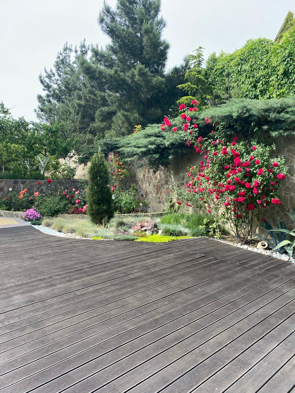 Фото Sineva Del Sol