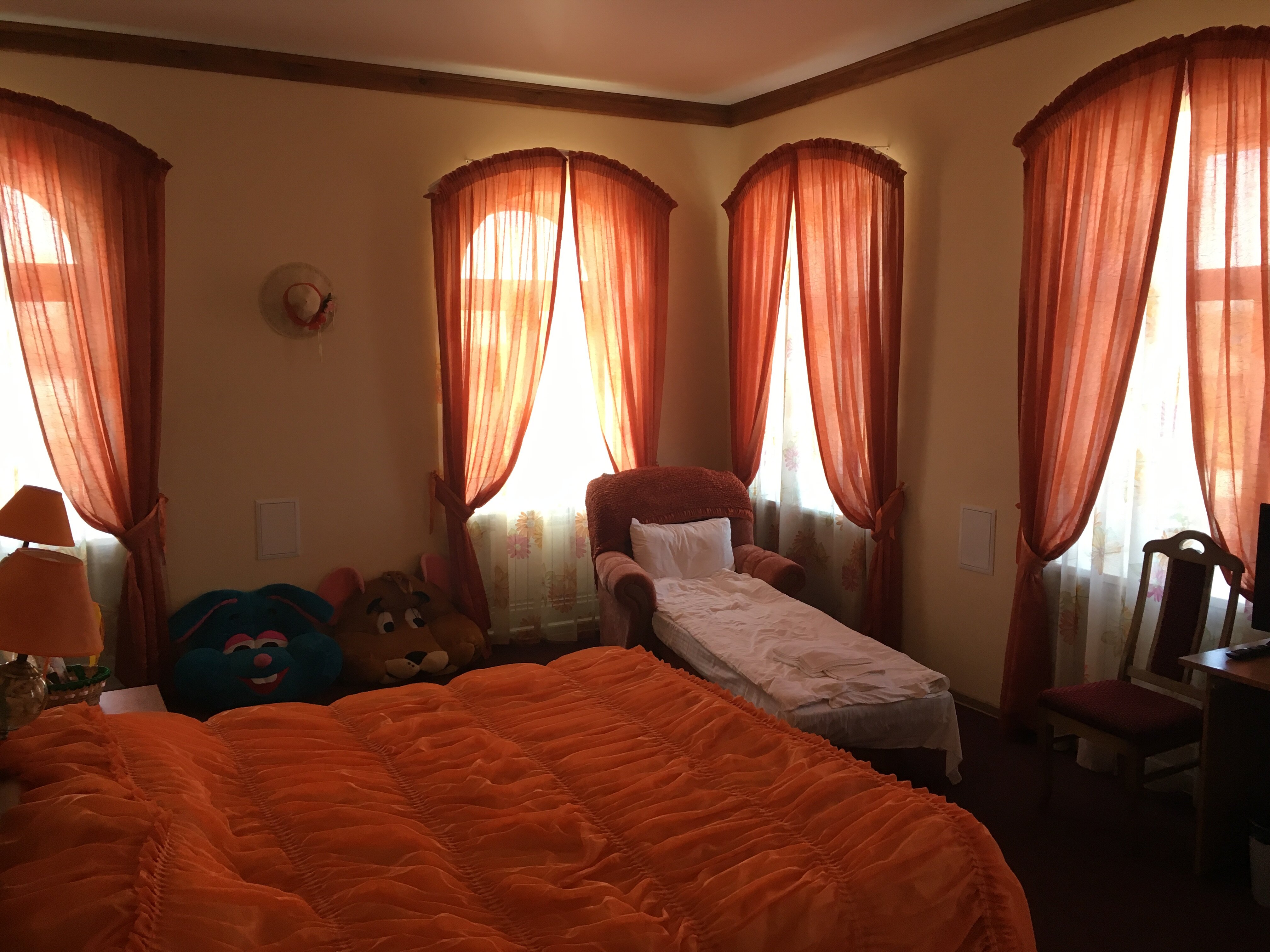 Фото Кошкин Дом