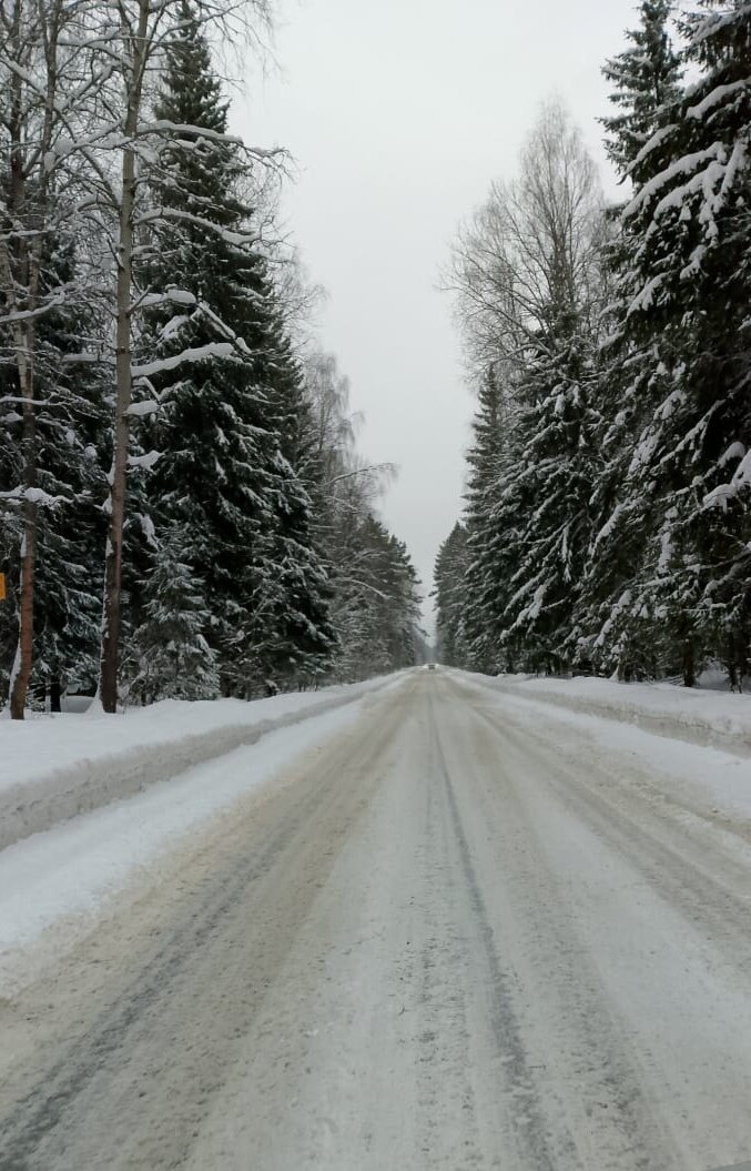 Фото Мы Дома- Зеркальный лес