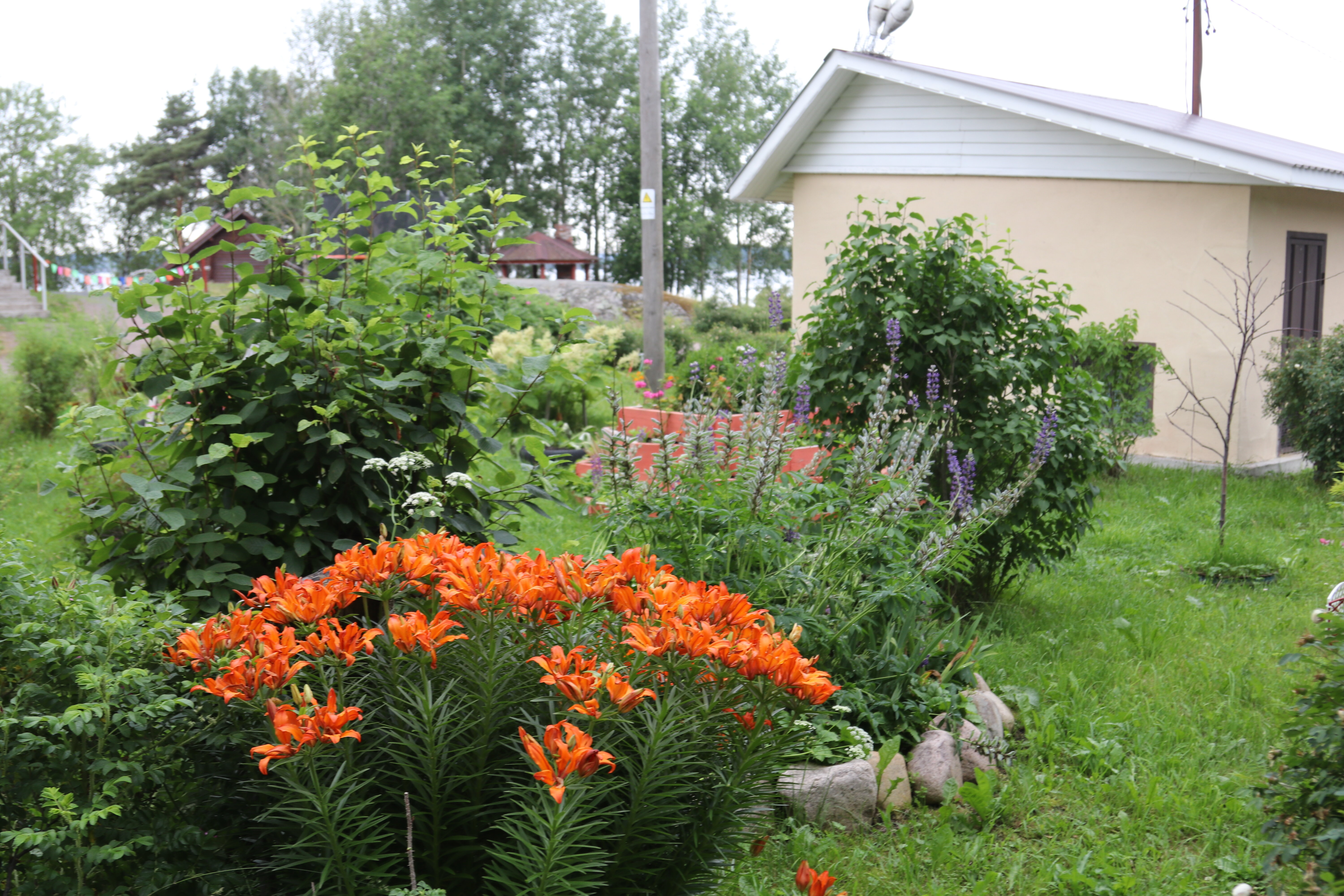 Фото Длинный берег