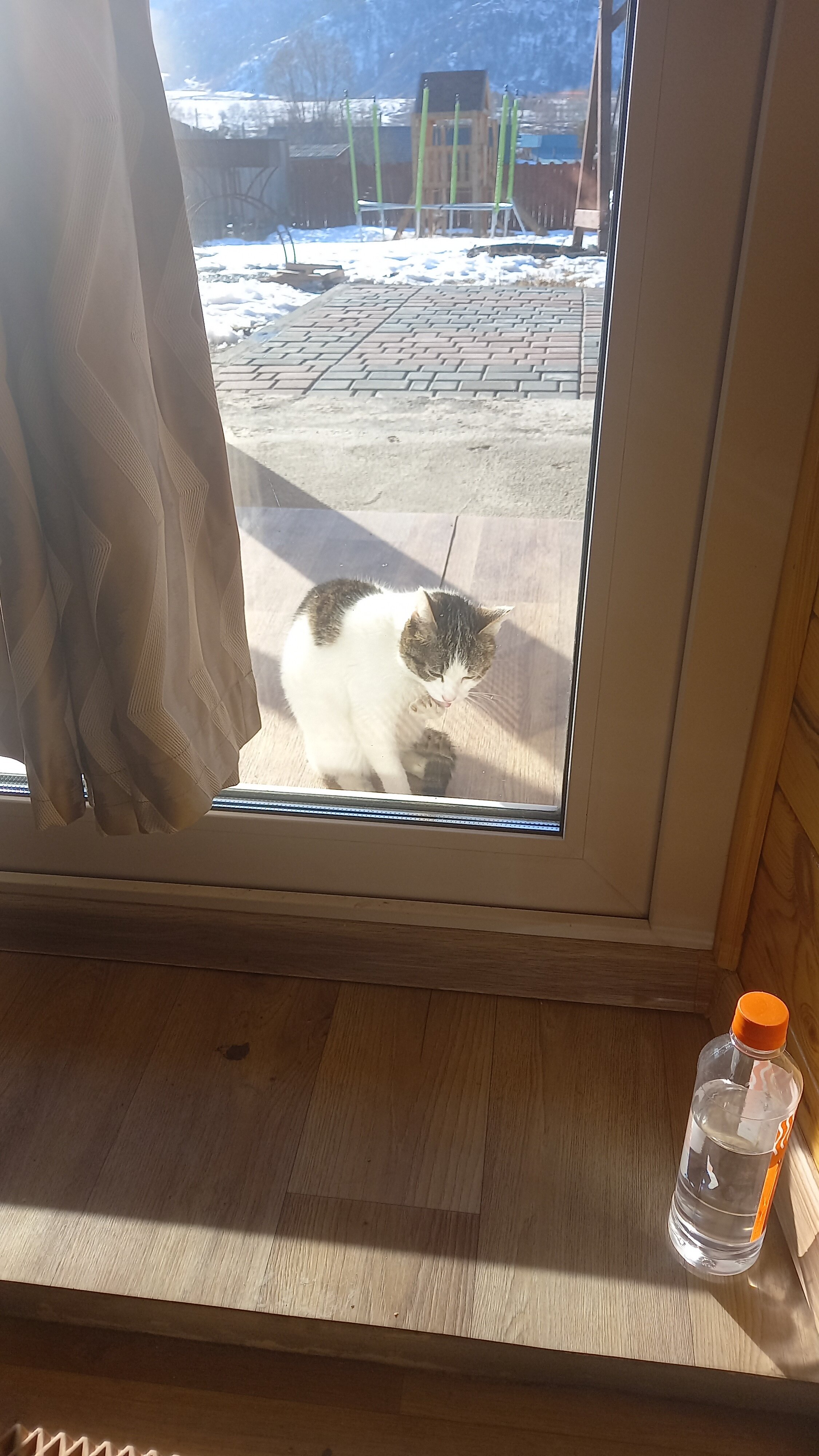 Фото Усадьба Филимоновых