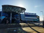 Салон Diana Savitskaya (Moscow, Orekhoviy Boulevard, 14к3), jewelry store