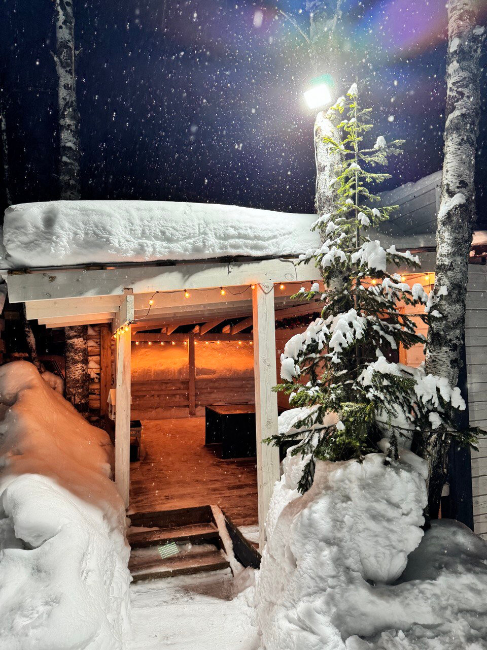 Фото Брусника № 1