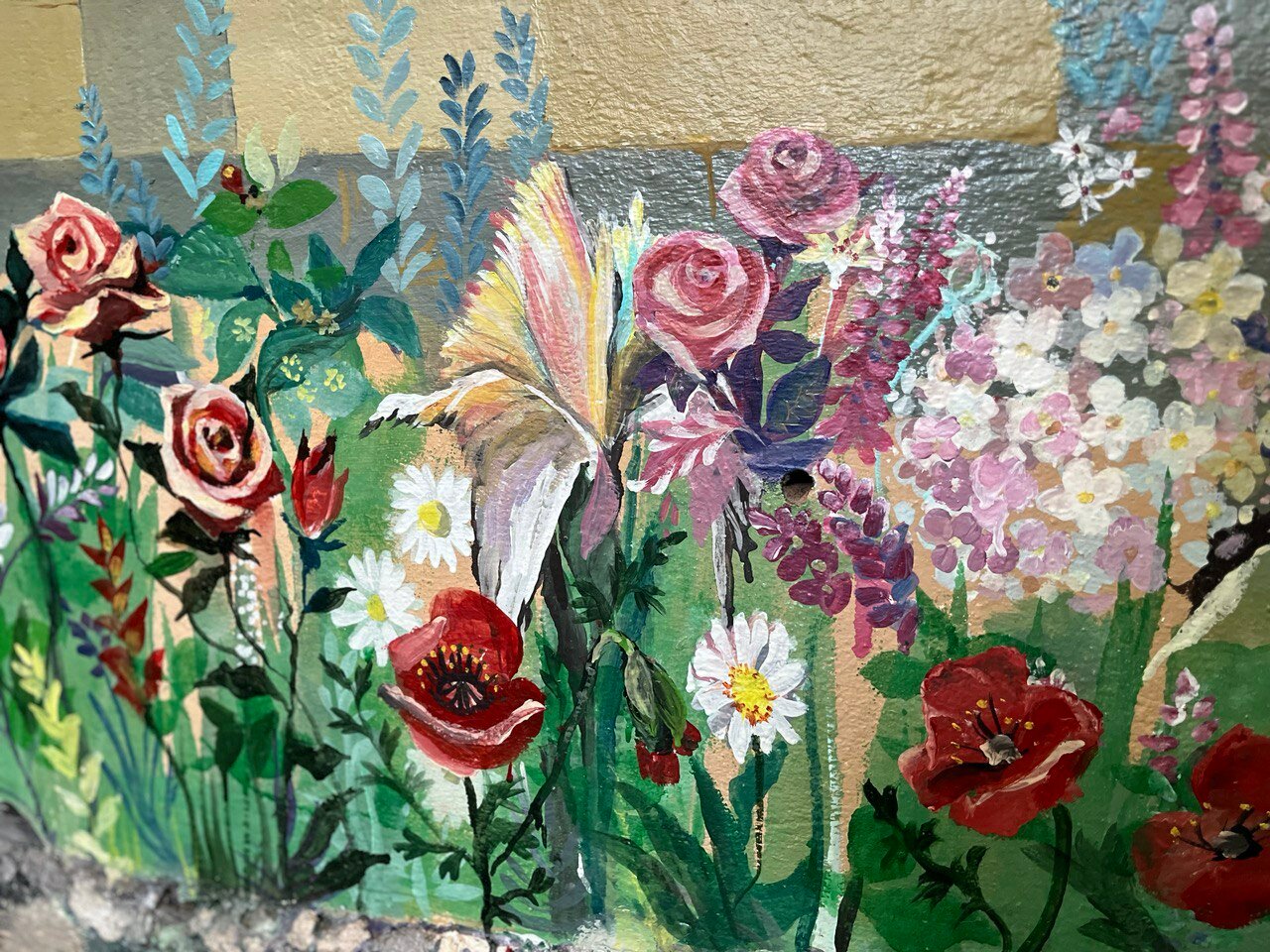 Фото КорМал