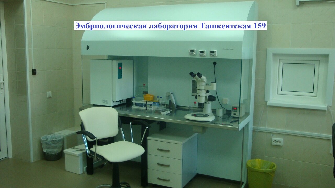 Ташкентская 159 самара фото YugNash.ru