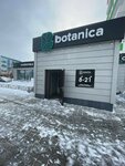 Botanica (ulitsa Toraygyrova, 59Б), flower shop
