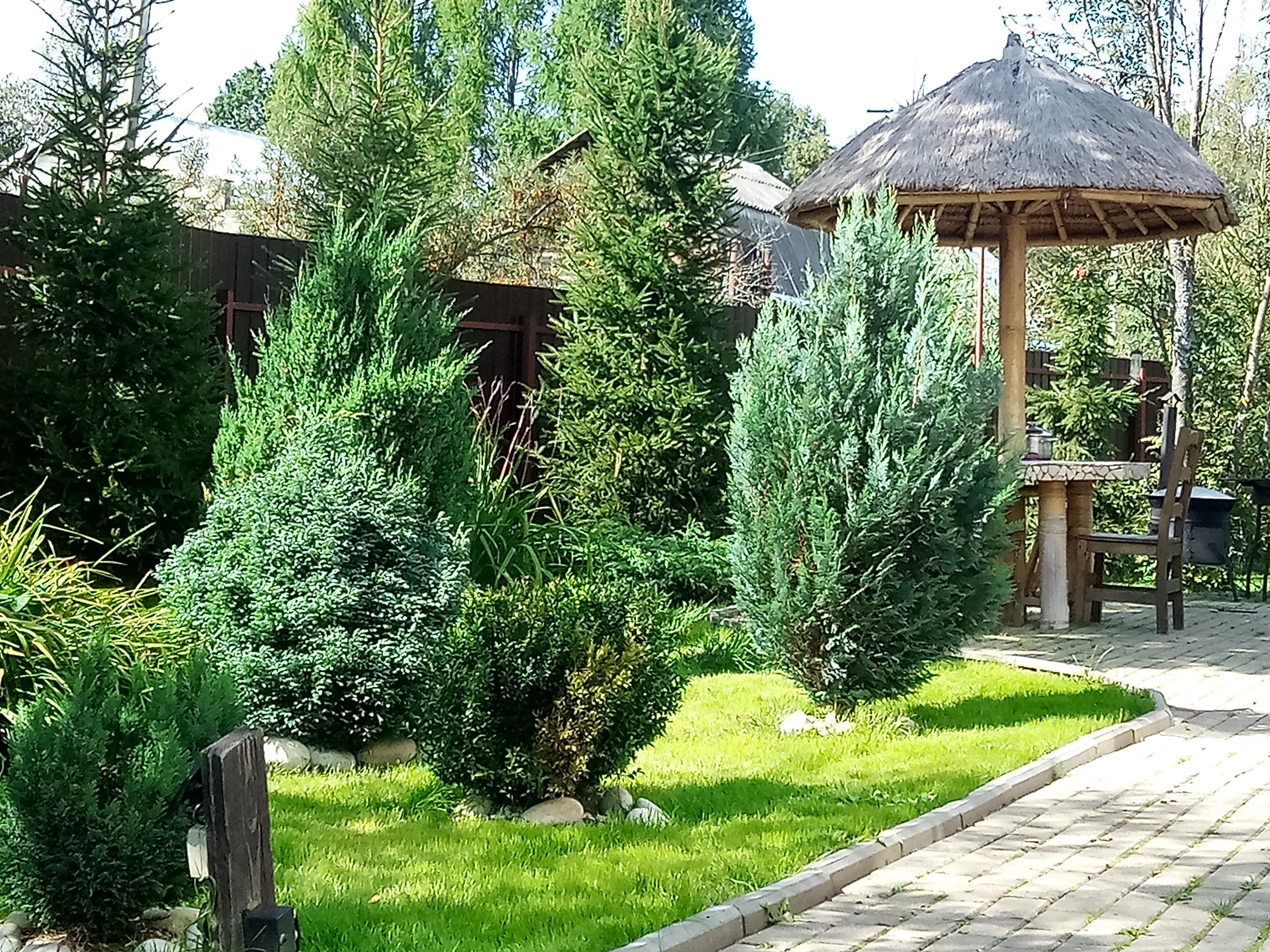 Фото Метелица