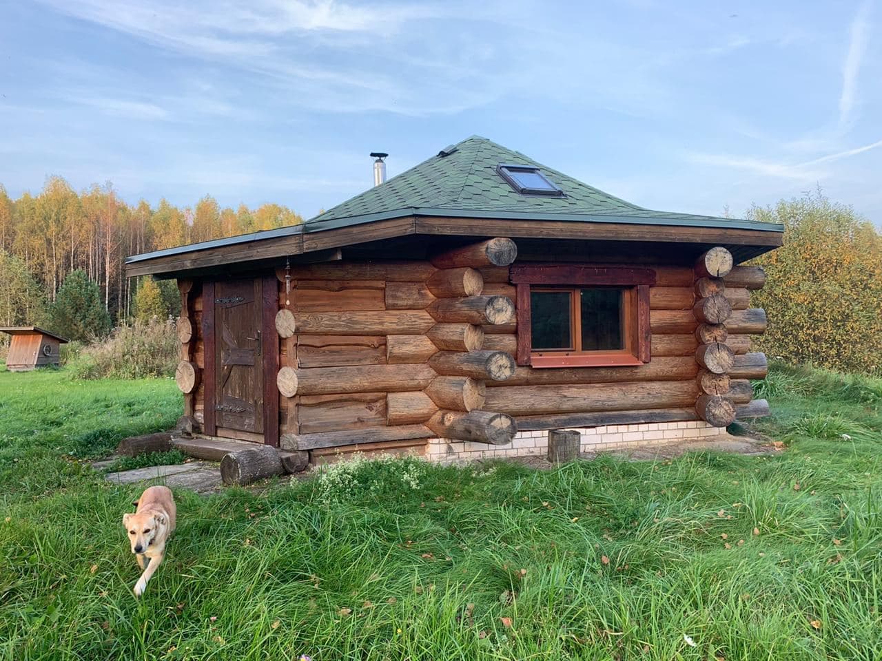 Фото ХоллиЛэнд 