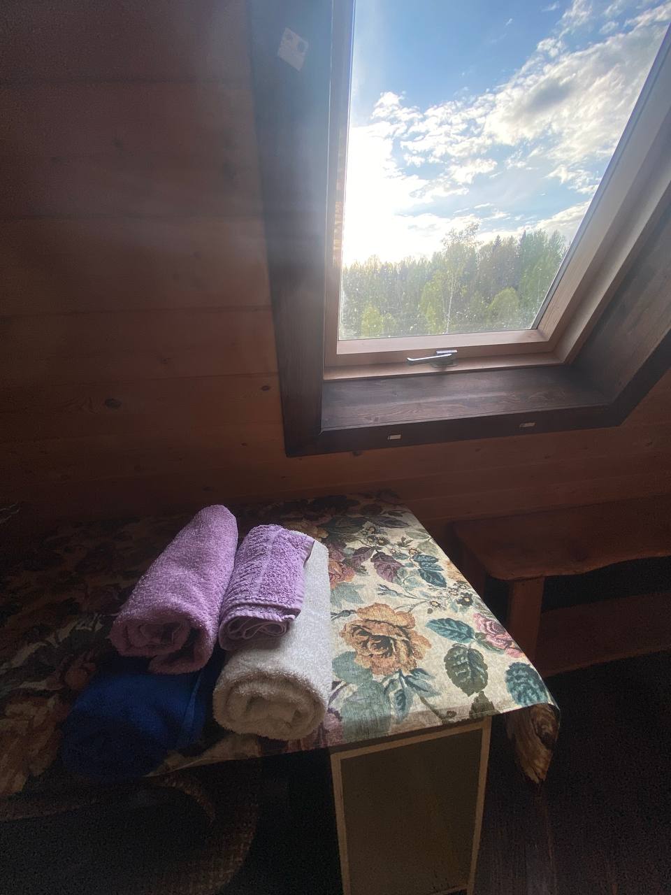 Фото ХоллиЛэнд 