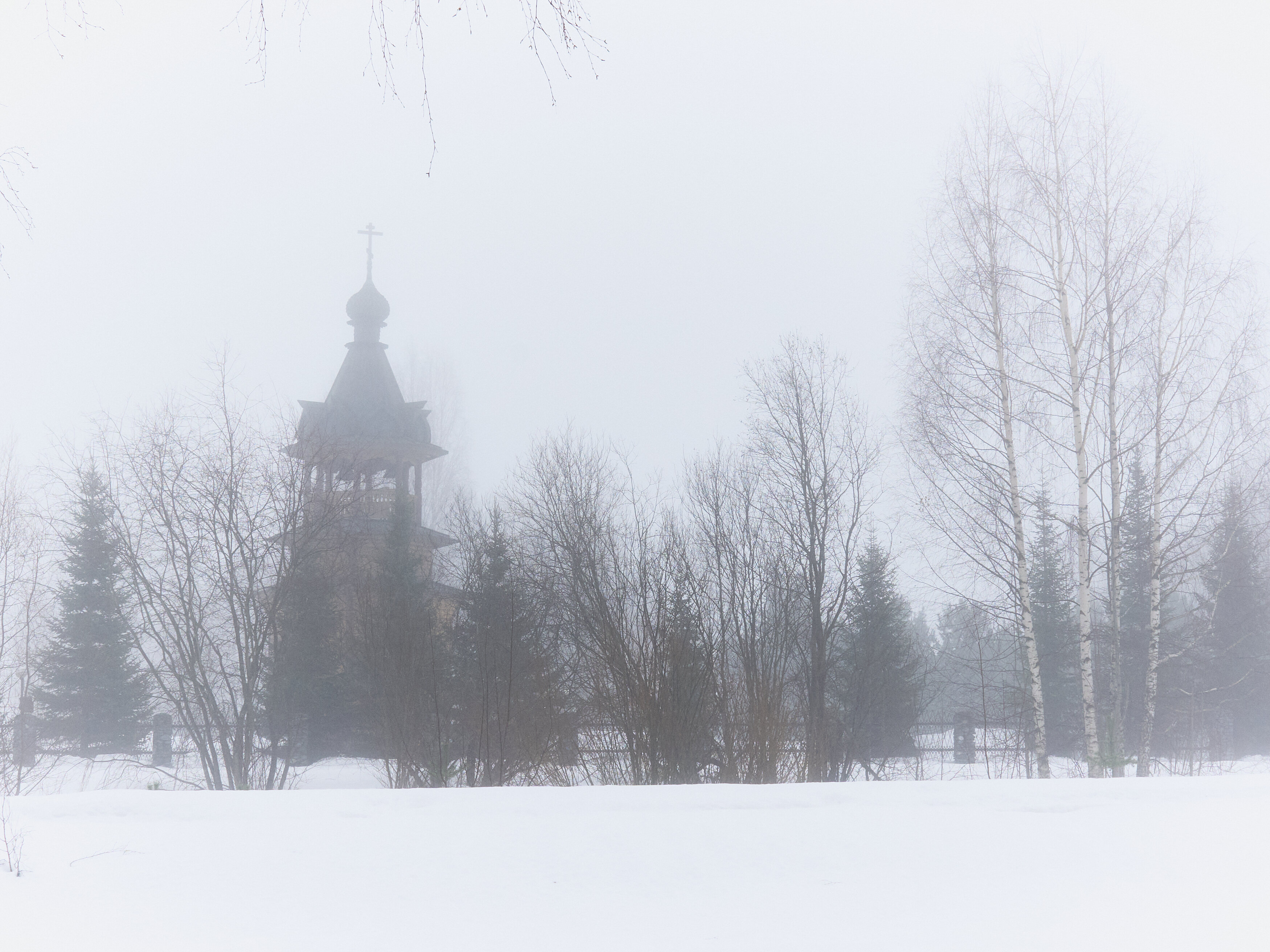 Фото Карлен