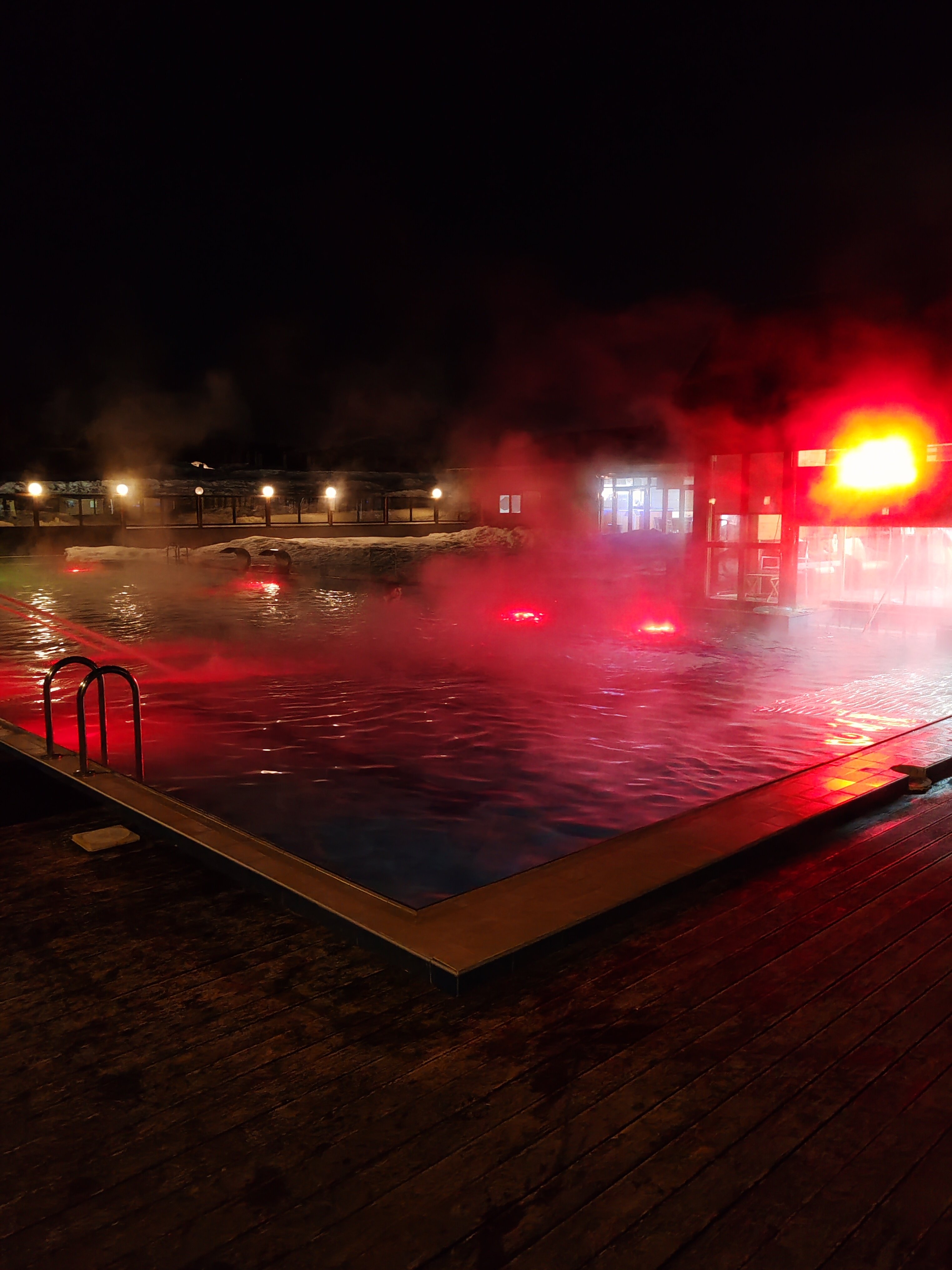 Фото Белая лошадь