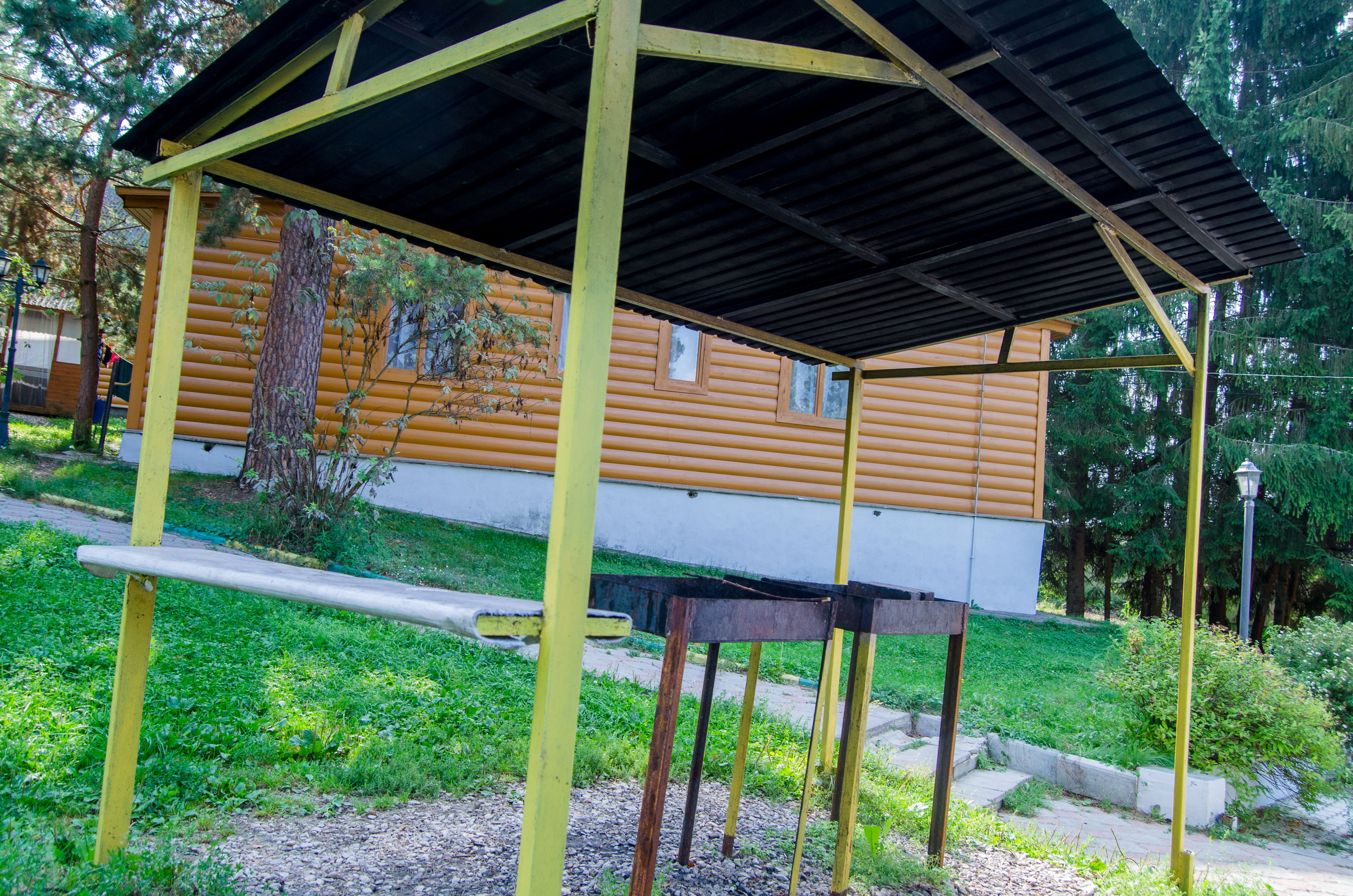 Фото Берёзовая роща