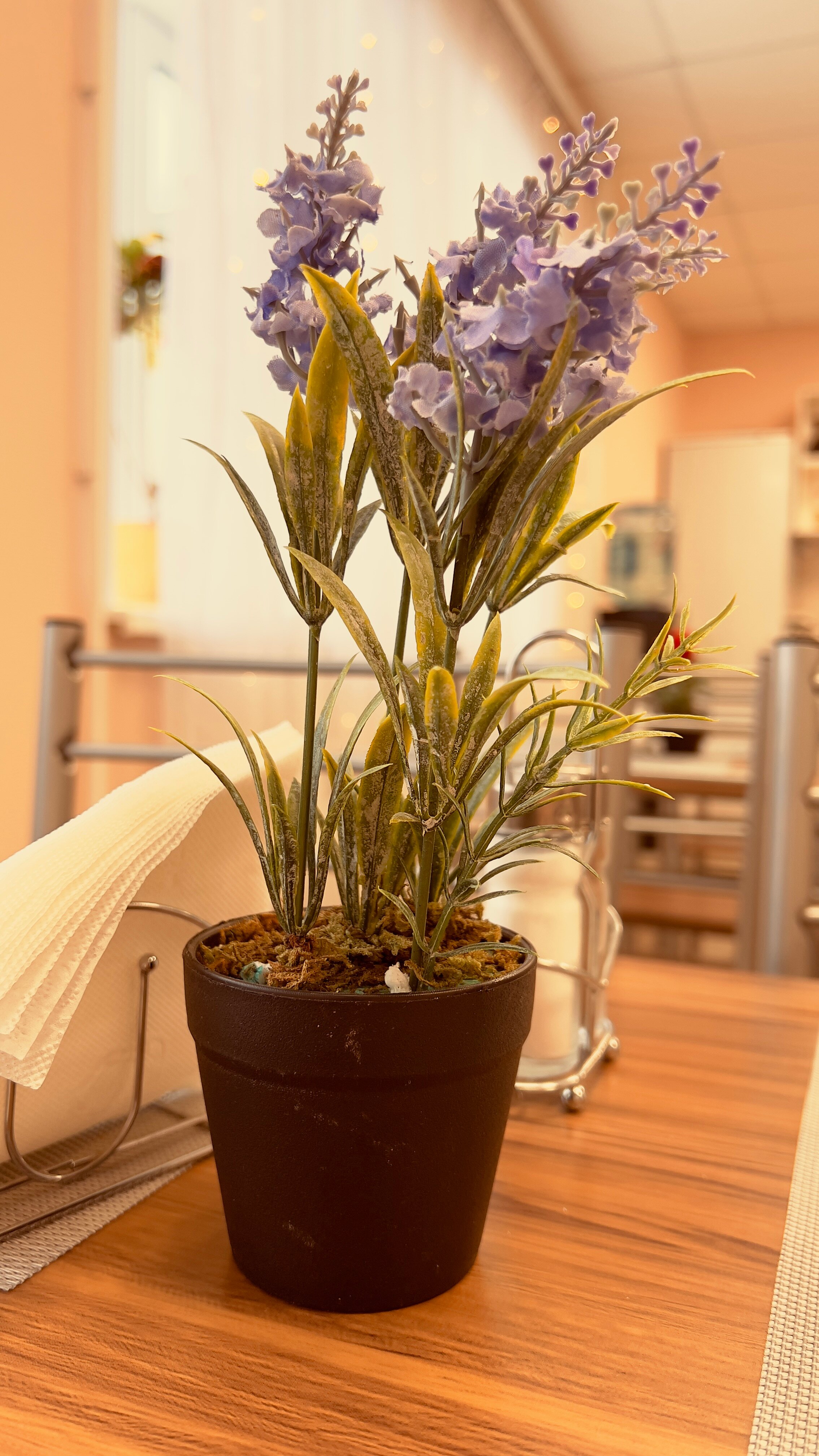 Фото Хостел51