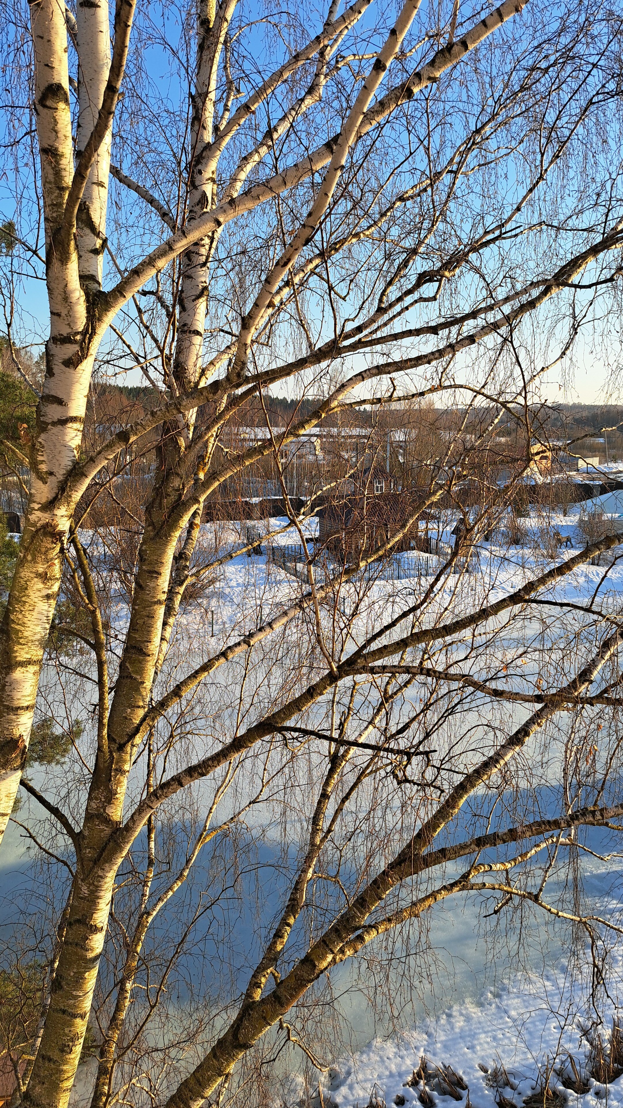 Фото Графские пруды