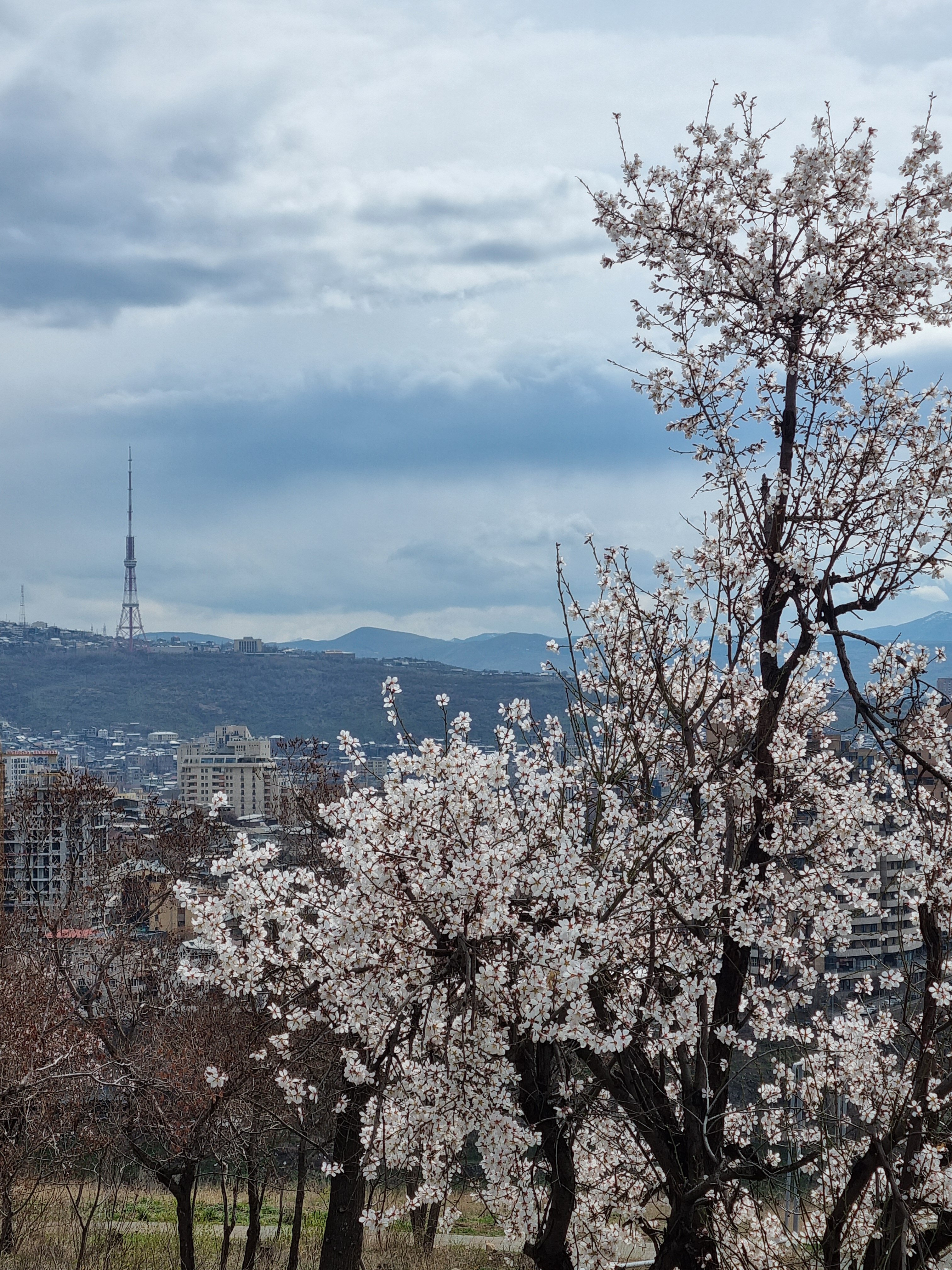 Фото Ramada Hotel & Suites by Wyndham Yerevan