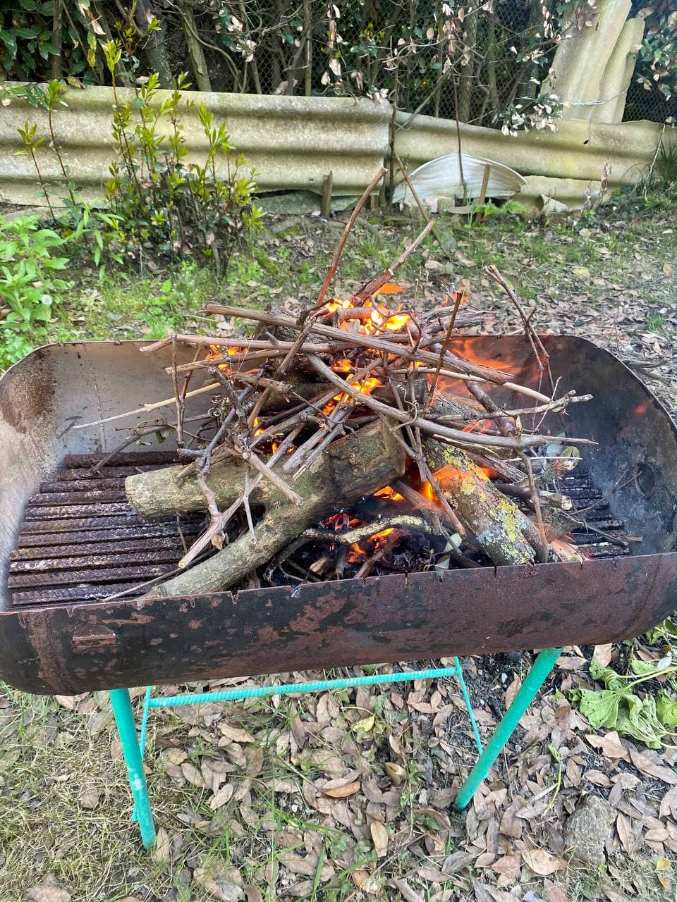 Фото Гостевой дом Гагра