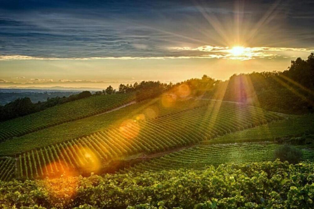 Фото B&b Le Strade del Gavi