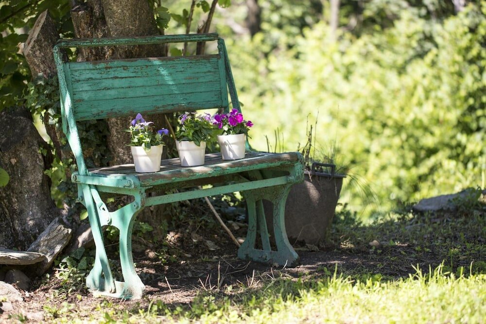 Фото Agriturismo Rossolampone