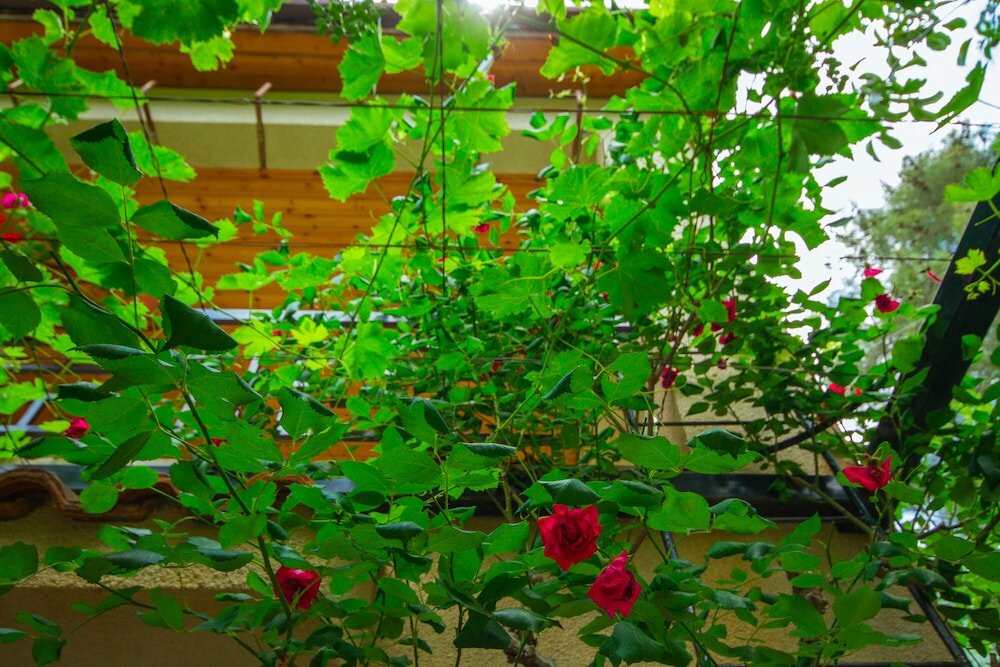 Фото Kyveli Cottage