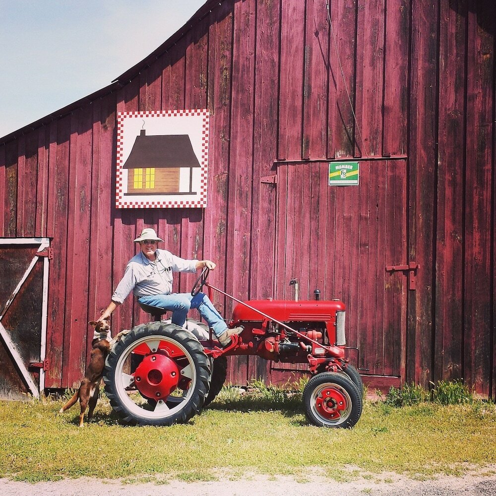 Фото The Davies Family Inn