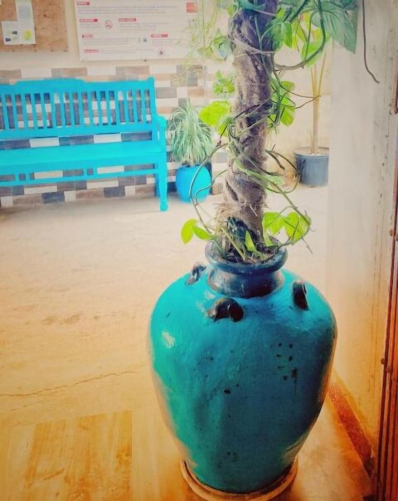 Фото Dream Vision Guest House