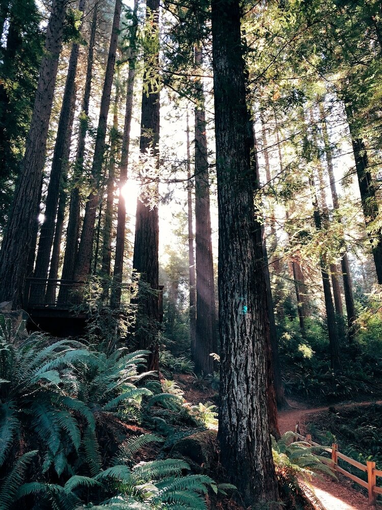 Фото Jupiter Hotel