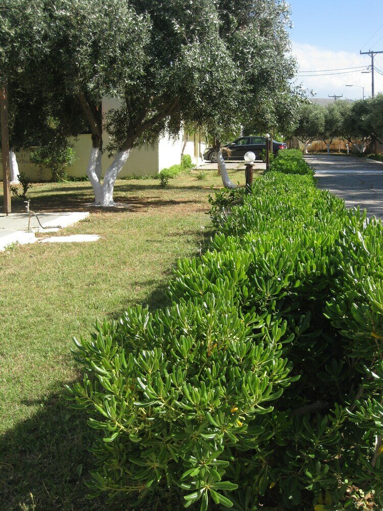 Фото Creta Camping