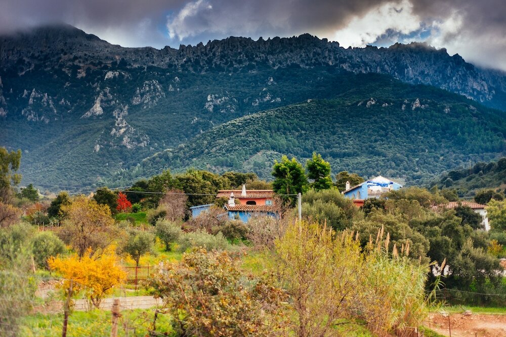 Фото Agriturismo Camisadu