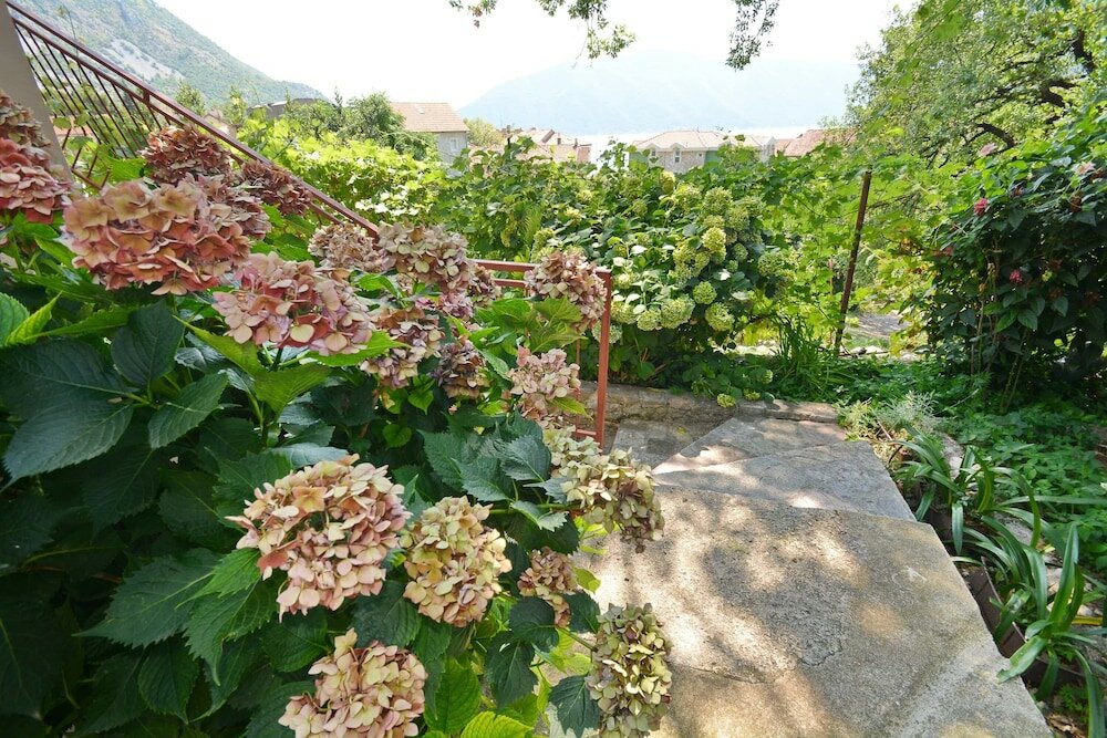 Фото Apartments Risan