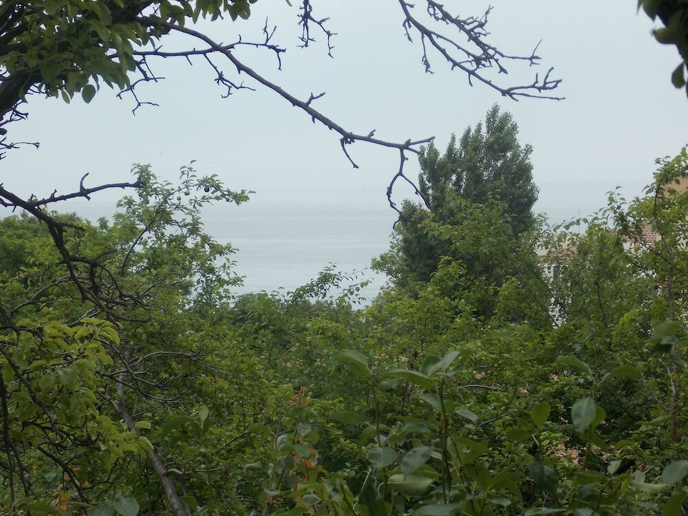 Фото Villa Sequoia