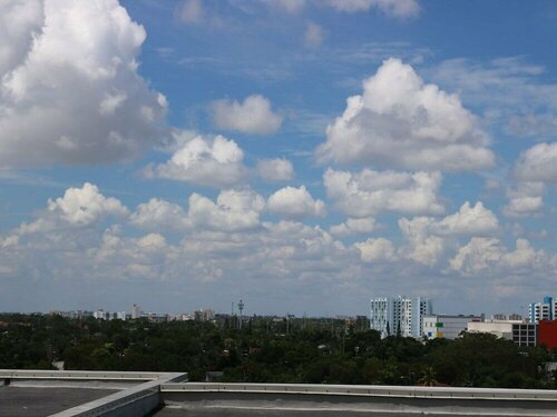 Апартаменты Spectacular Midtown Miami в Майами
