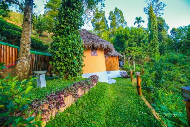 Гостиница Tea Cabins