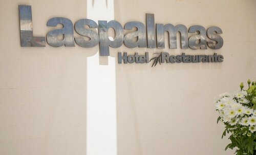 Гостиница Hotel Las Palmas