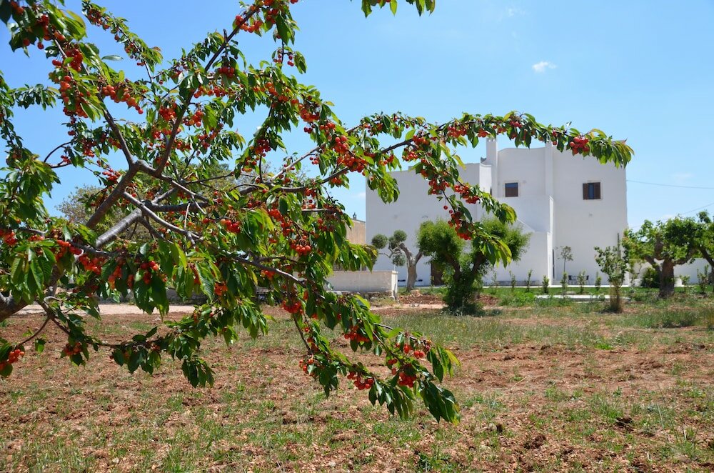 Фото Masseria Poli