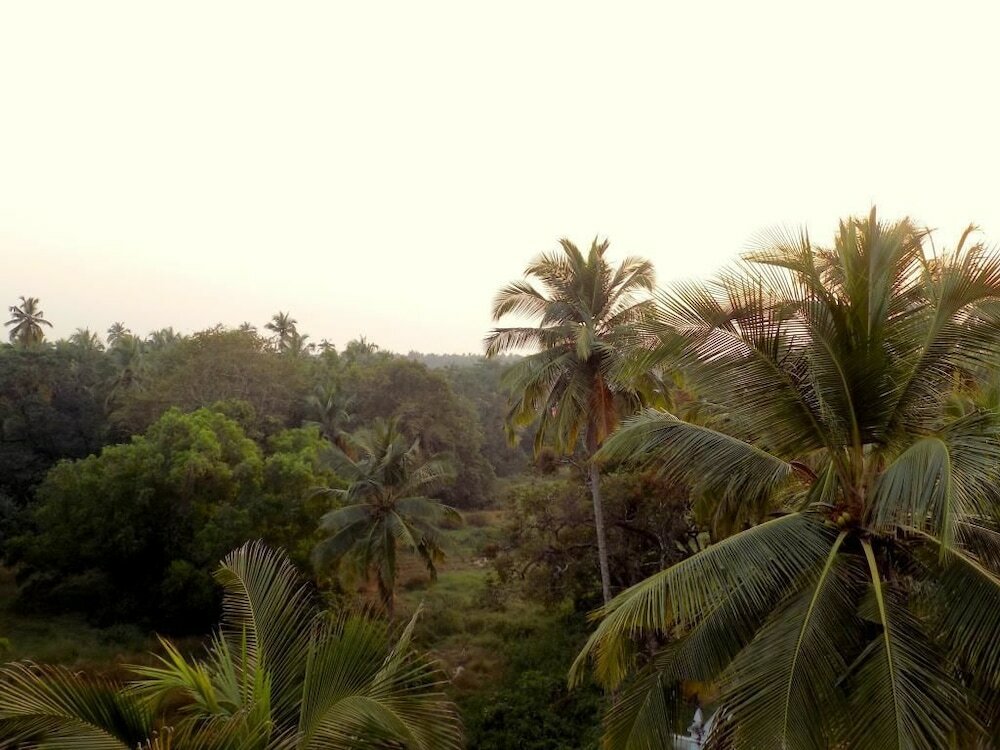 Фото CasaMelhor Elegant Apart Arpora Cm077