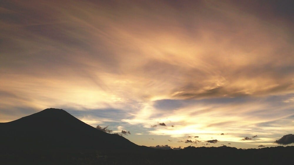 Фото Pension Cottontail