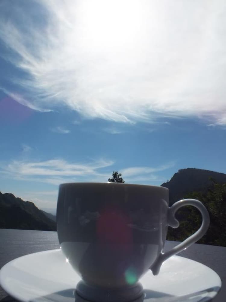 Фото Monarch ella